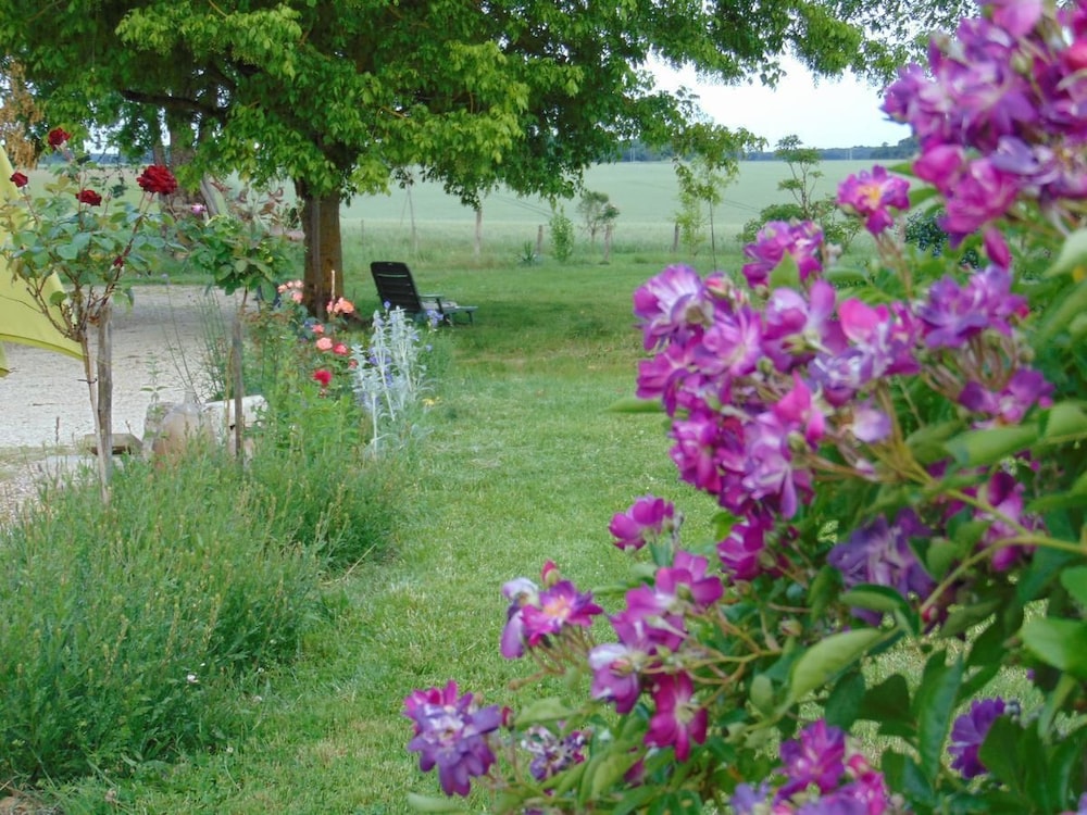 La Ferme aux Oies
