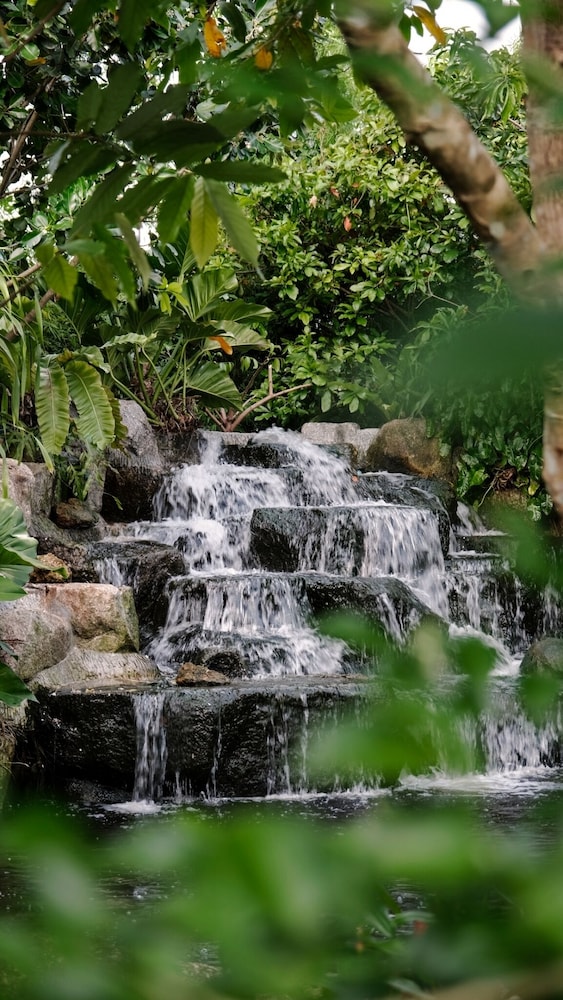 Lush Inn Phuket