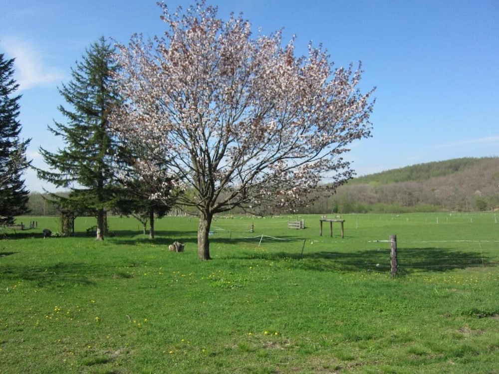 Yorkshire Farm