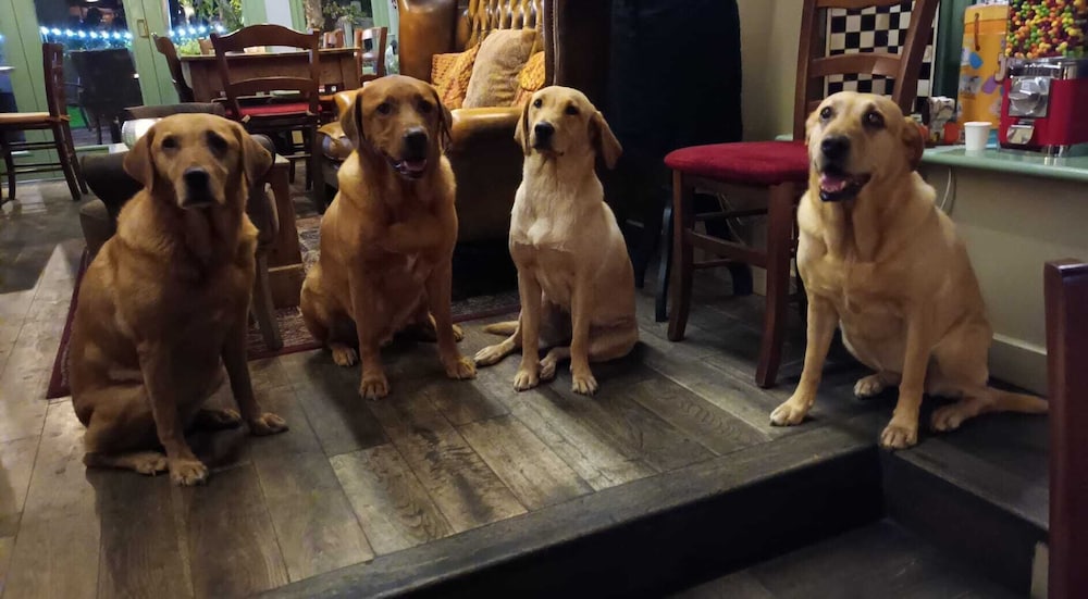 The Three Cups Inn