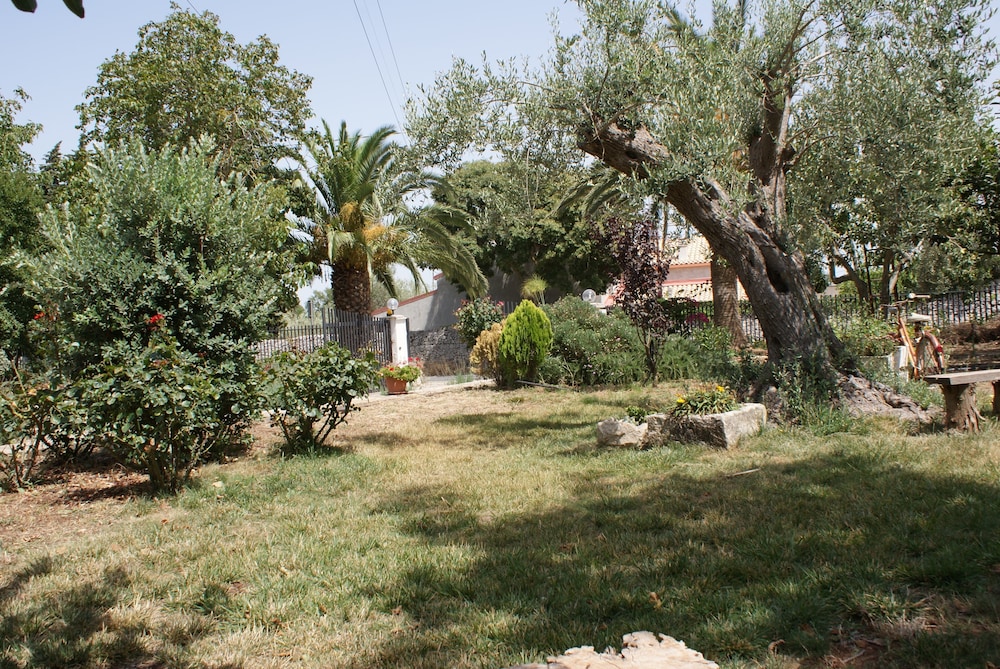 Photo 31