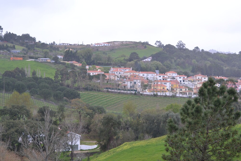 Photo 42
