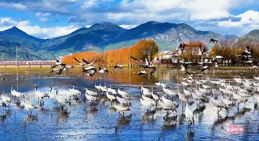 yuanxiangwenyuan