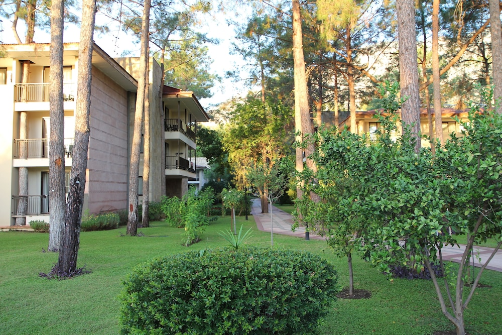 Champion Holiday Village - All Inclusive