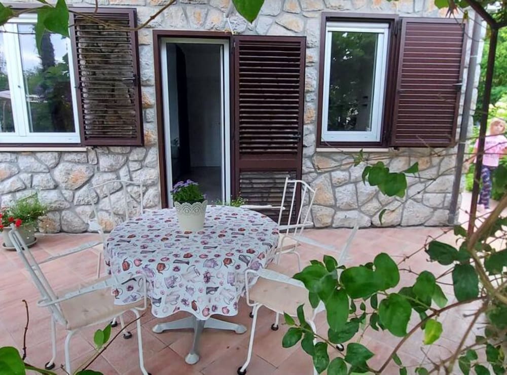 Green Garden Oasis