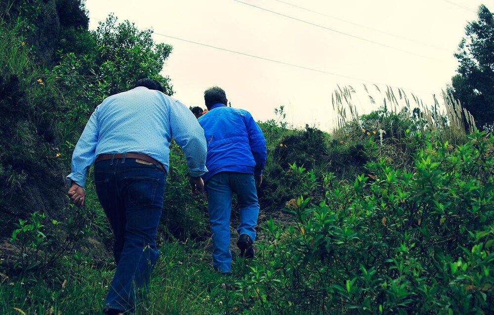 Finca El Yagual view 4