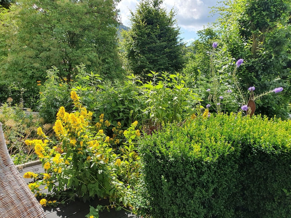 Terrace Retreat in Winterberg