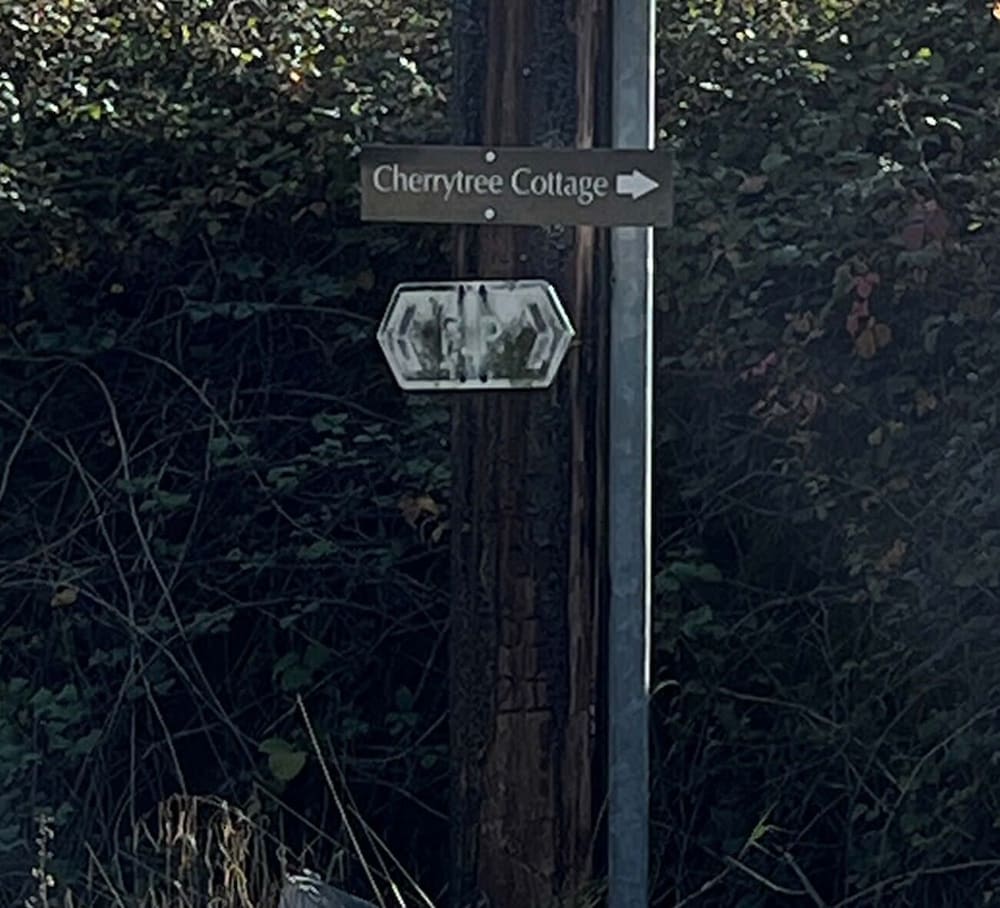 Photo 42