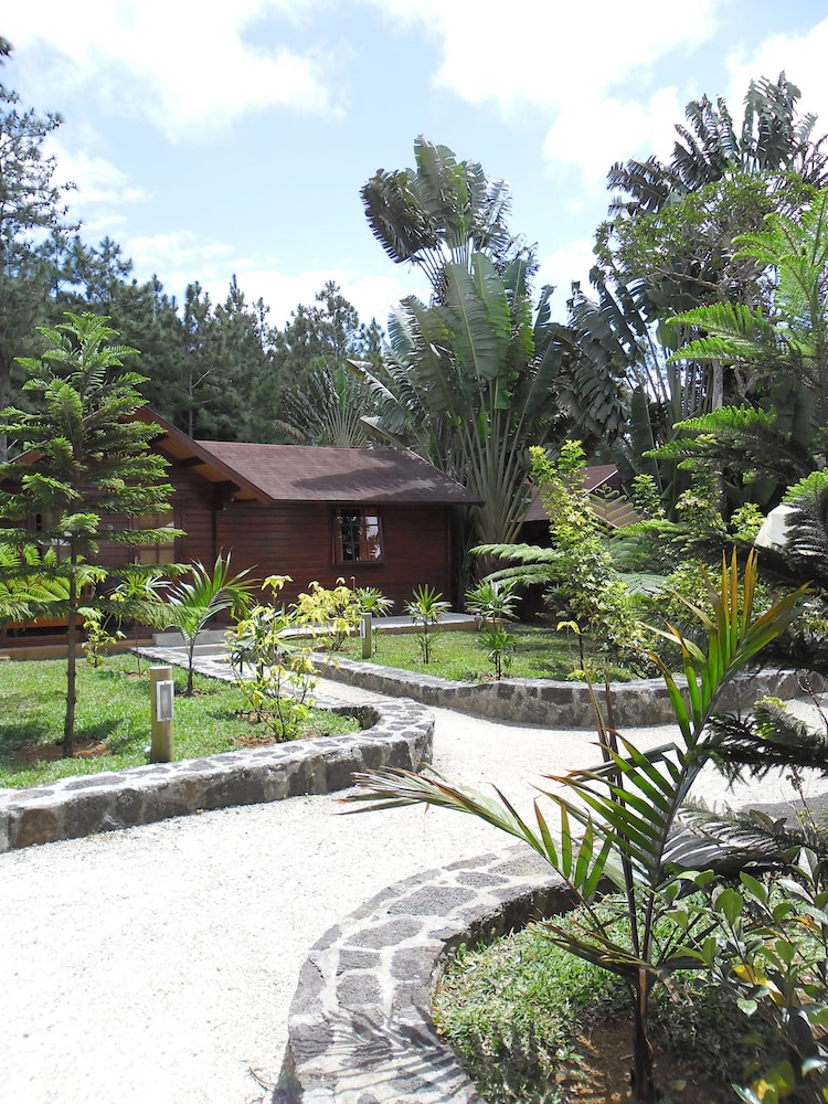 Le Domaine de L’arbre du Voyageur
