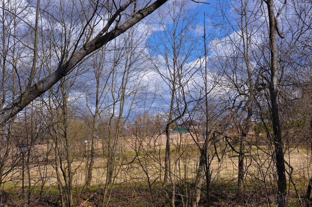 Skokovo Park, photo 317