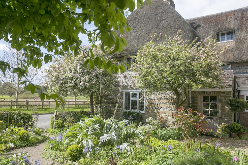 Tudor Cottage Bed & Breakfast Dorchester