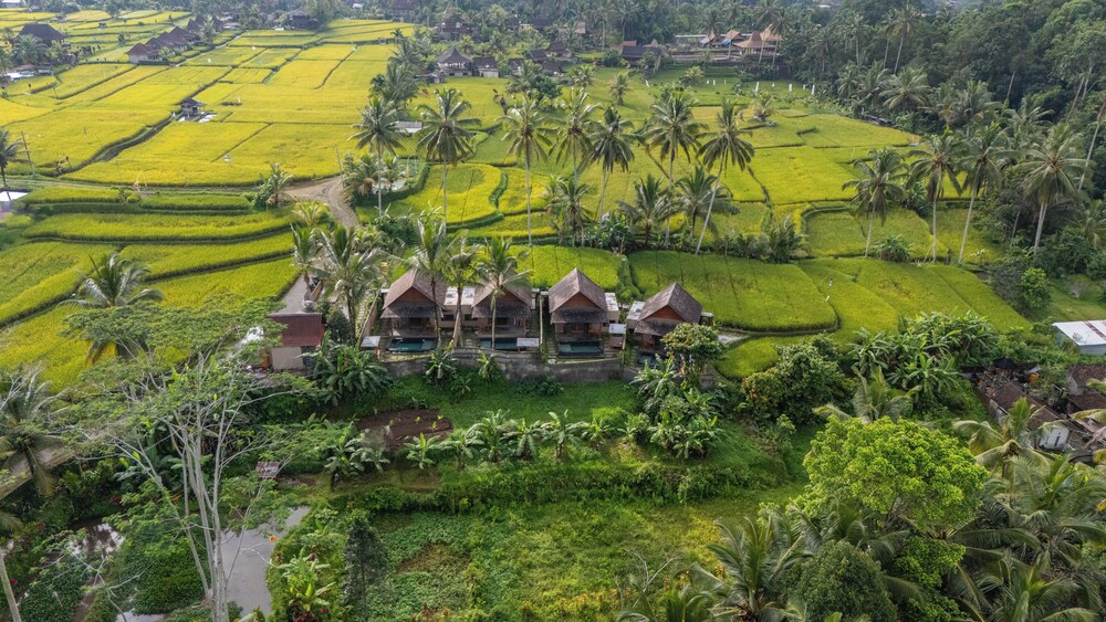 Moonterra Villa Sebatu