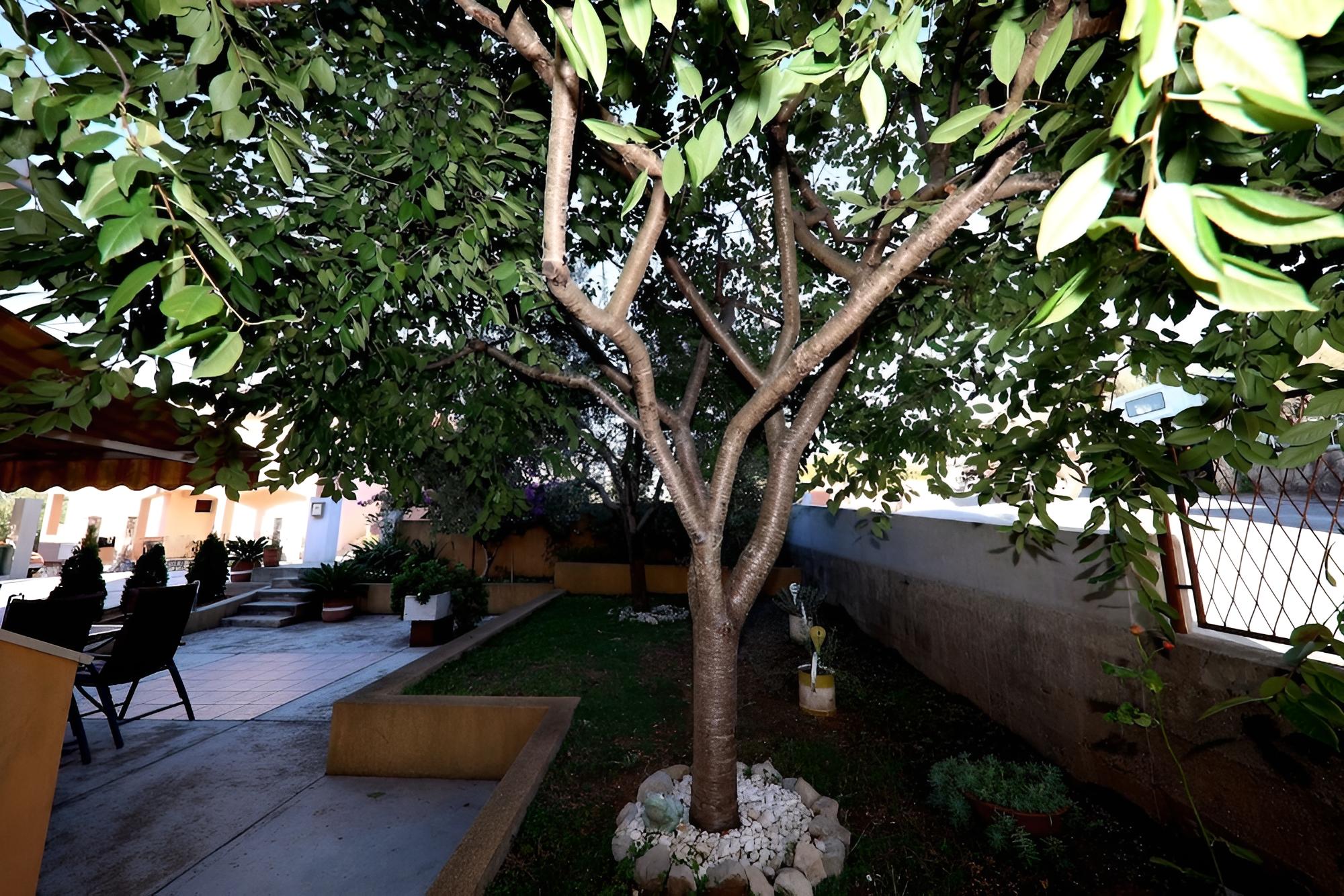 Photo 11