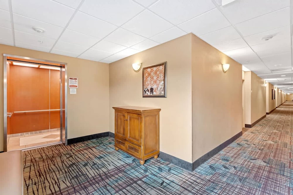 1 BR Apartment 3 Miles From Disney Springs Hs307