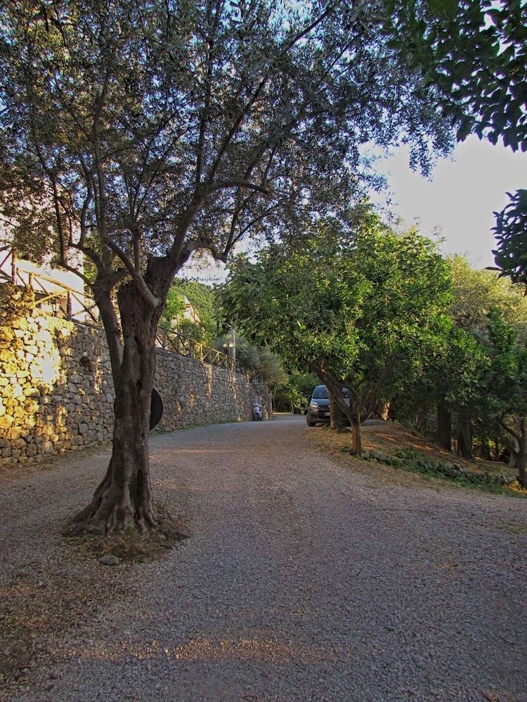 Casa Scola Agriturismo