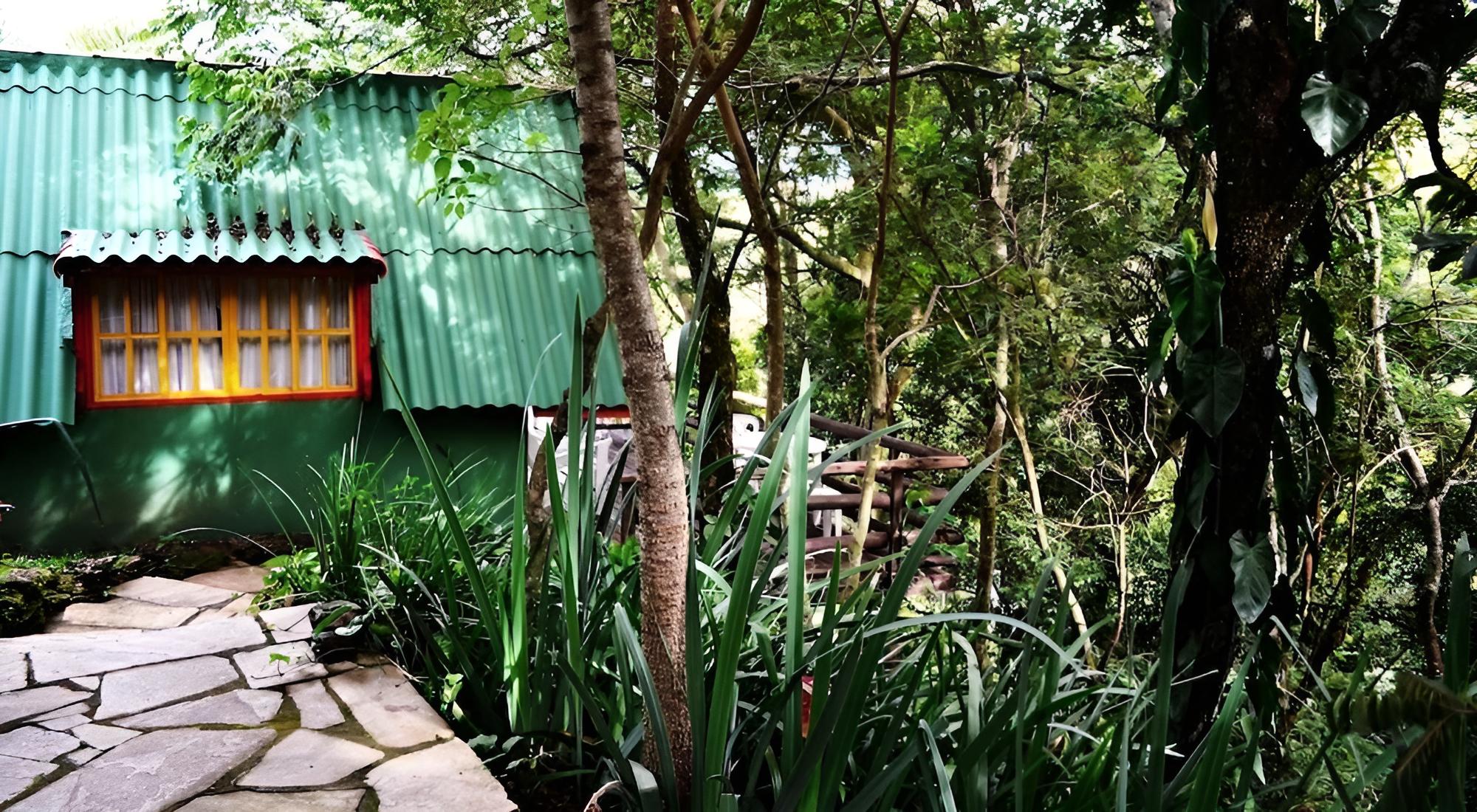 Photo 11