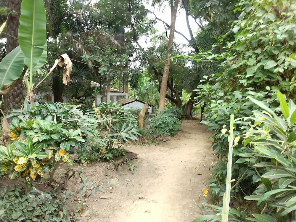 Photo 10