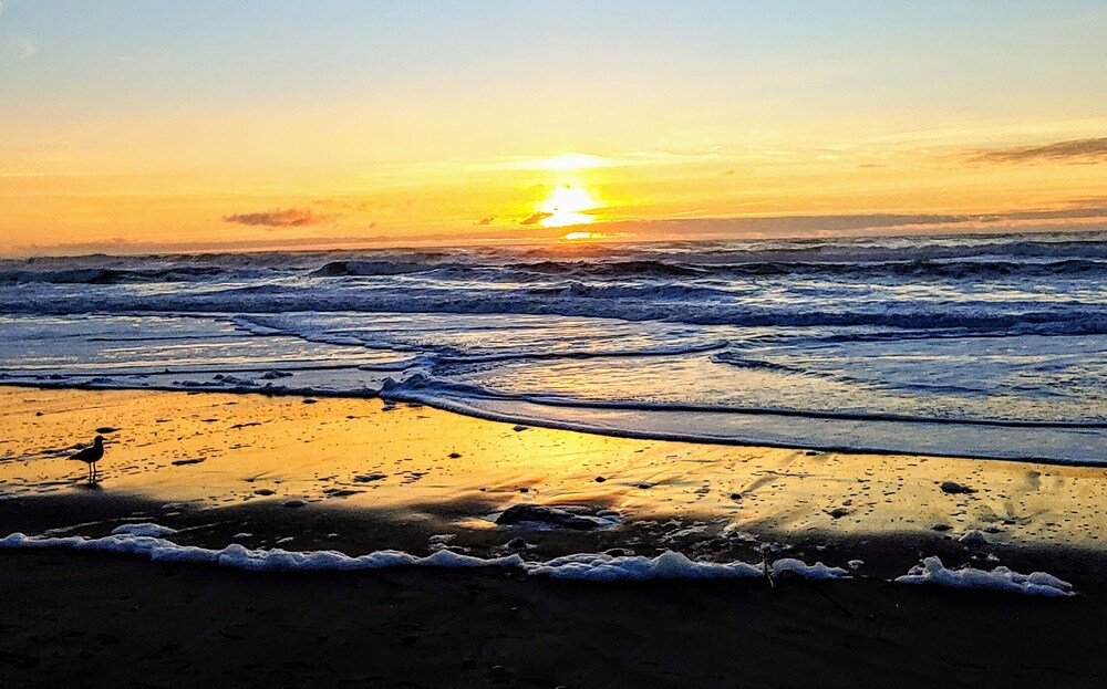On the Beachfront Vacation Rentals