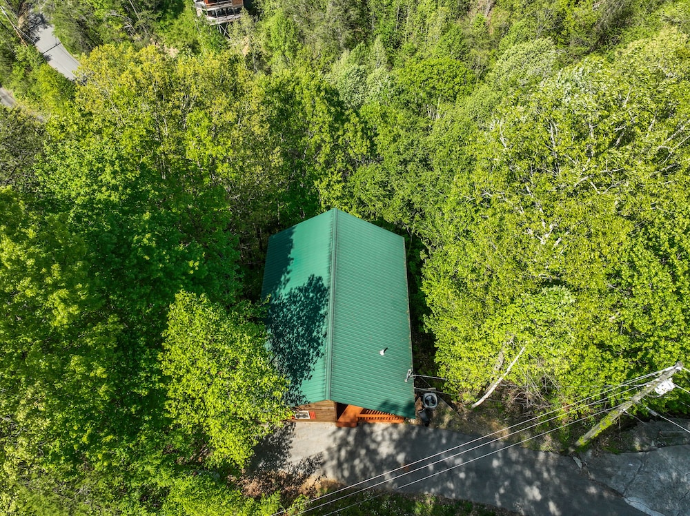 Only Dreamin' Cabin w/ Private Hot Tub view 2