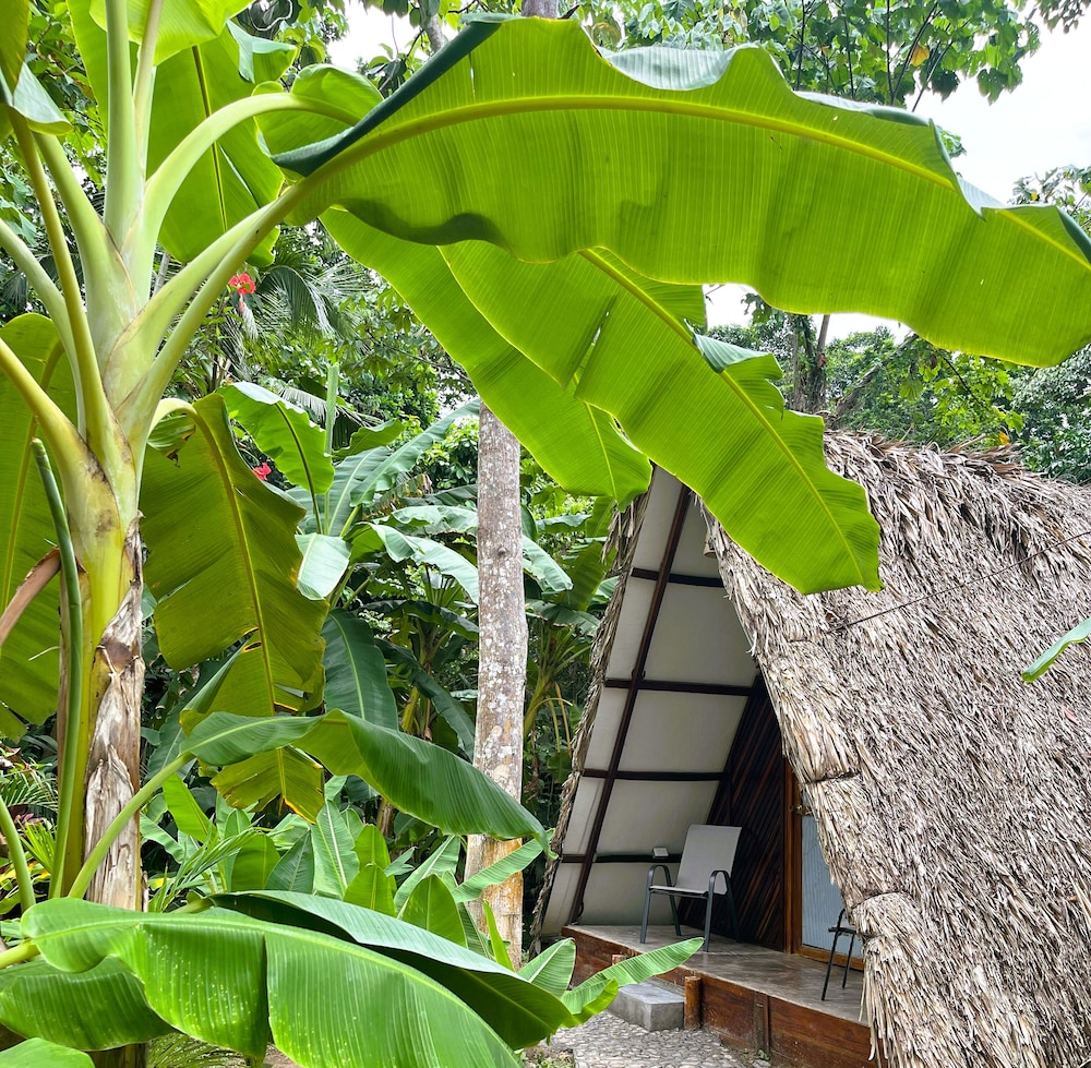 Glamping Jazayma