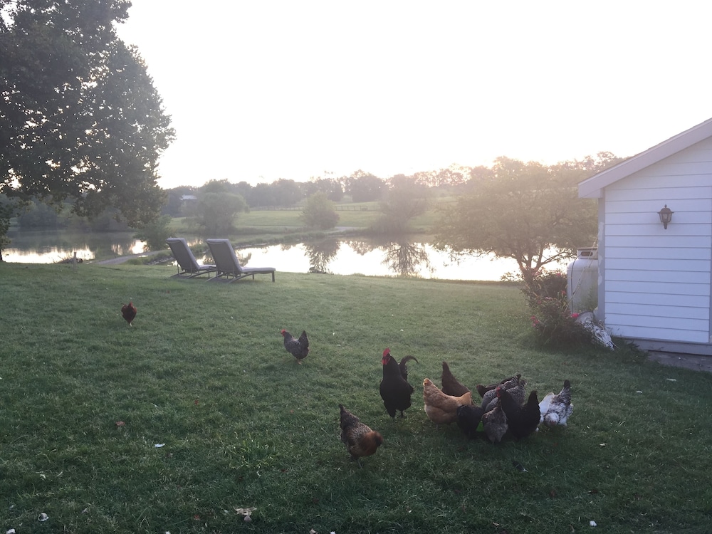 The B & B at Queenslake