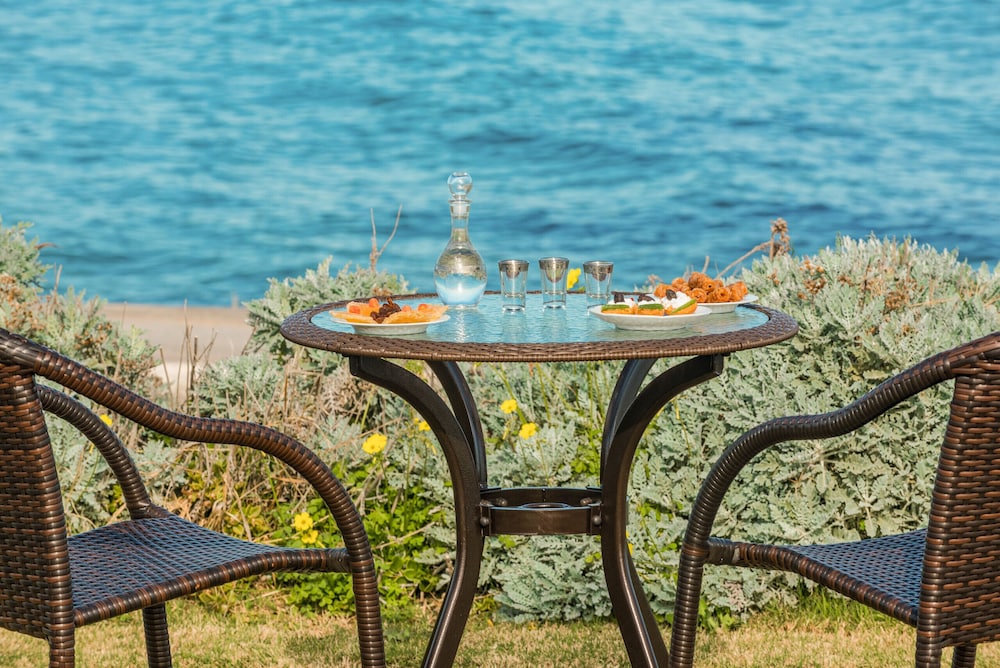 Artemis beachfront Villa