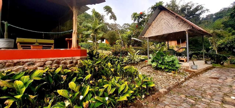 Playa Selva Lodge