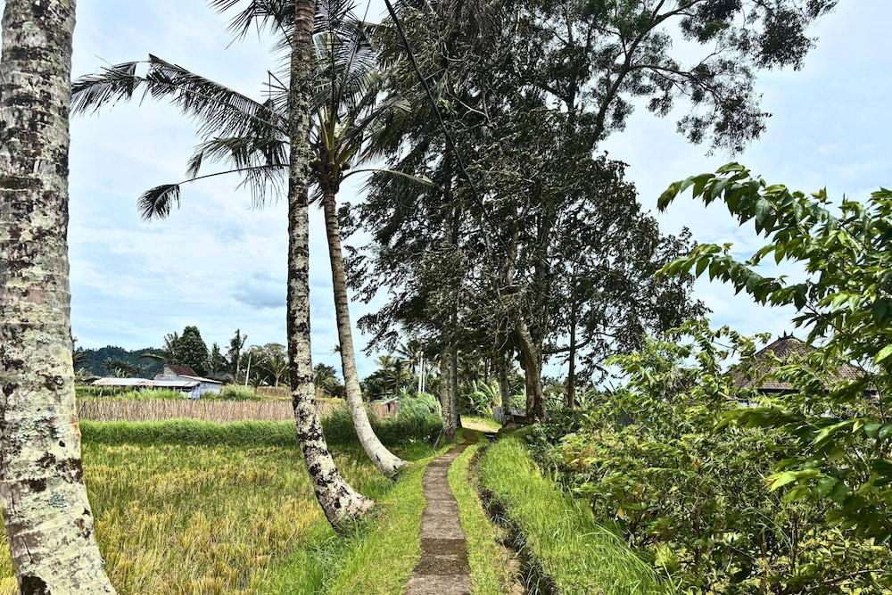 Four Mountains Villa Bedugul
