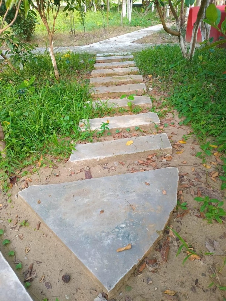Photo 34