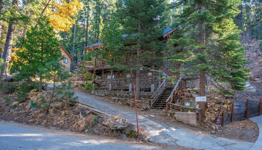 Photo 42