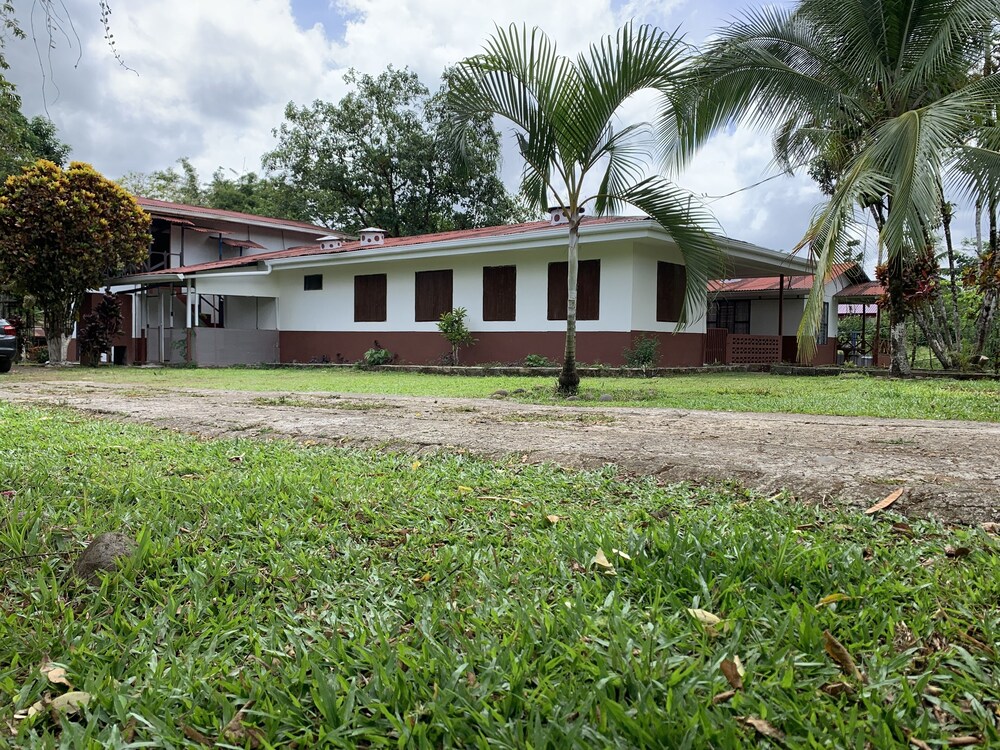 Photo 41