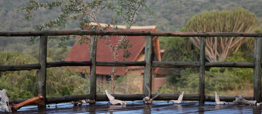 Kasenyi Safari Camp