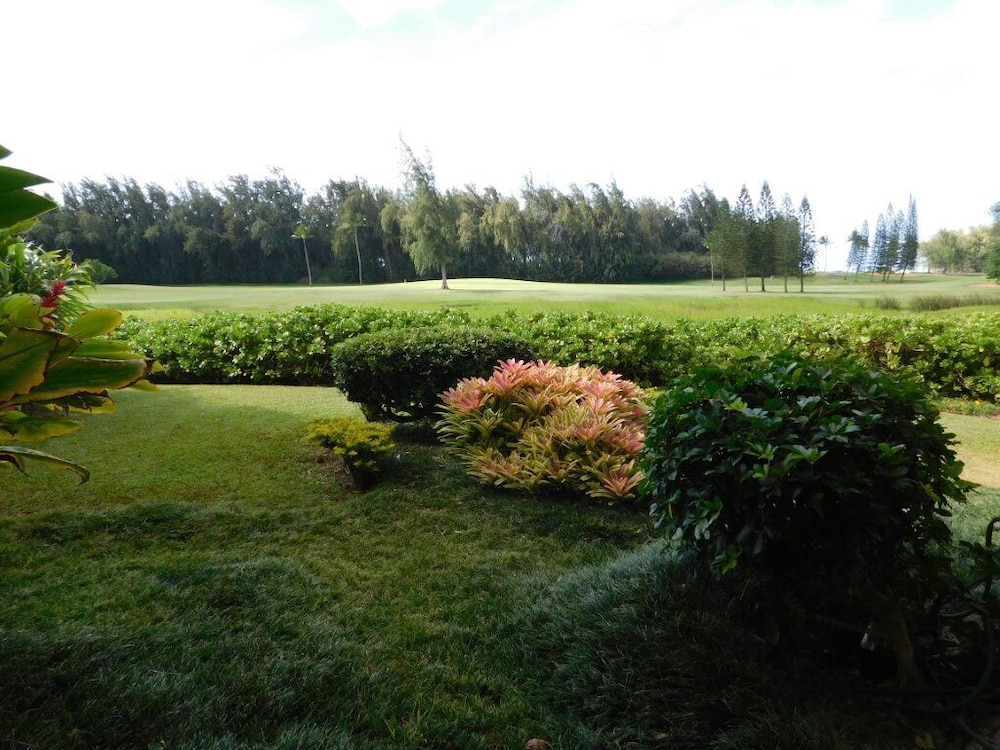 Turtle Bay Guava**ta-009966796801 1 Bedroom Condo by RedAwning