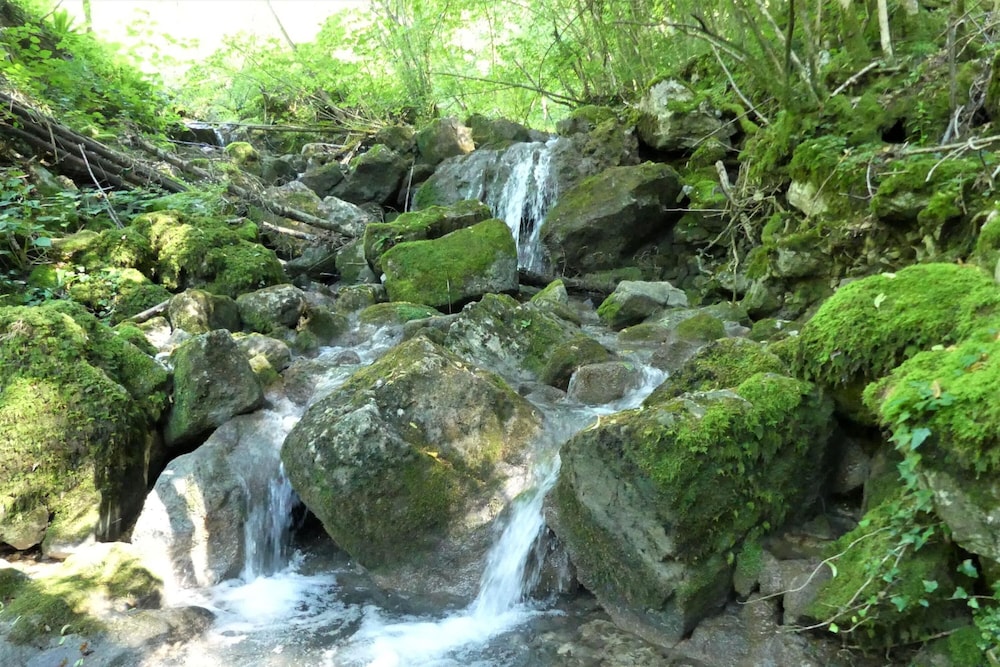 House By The Stream view 5