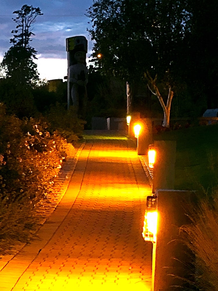 Photo 46