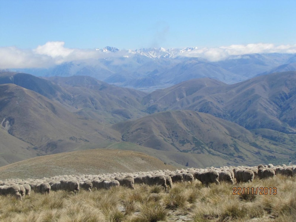 Dunstan Downs High Country Sheep Station