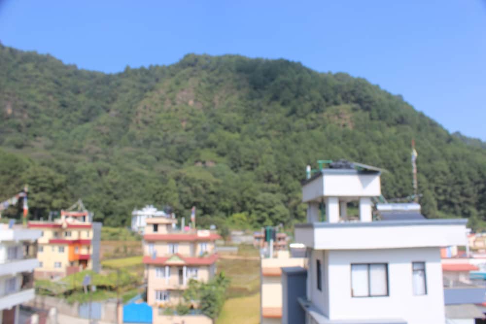 Manasalu Homestay