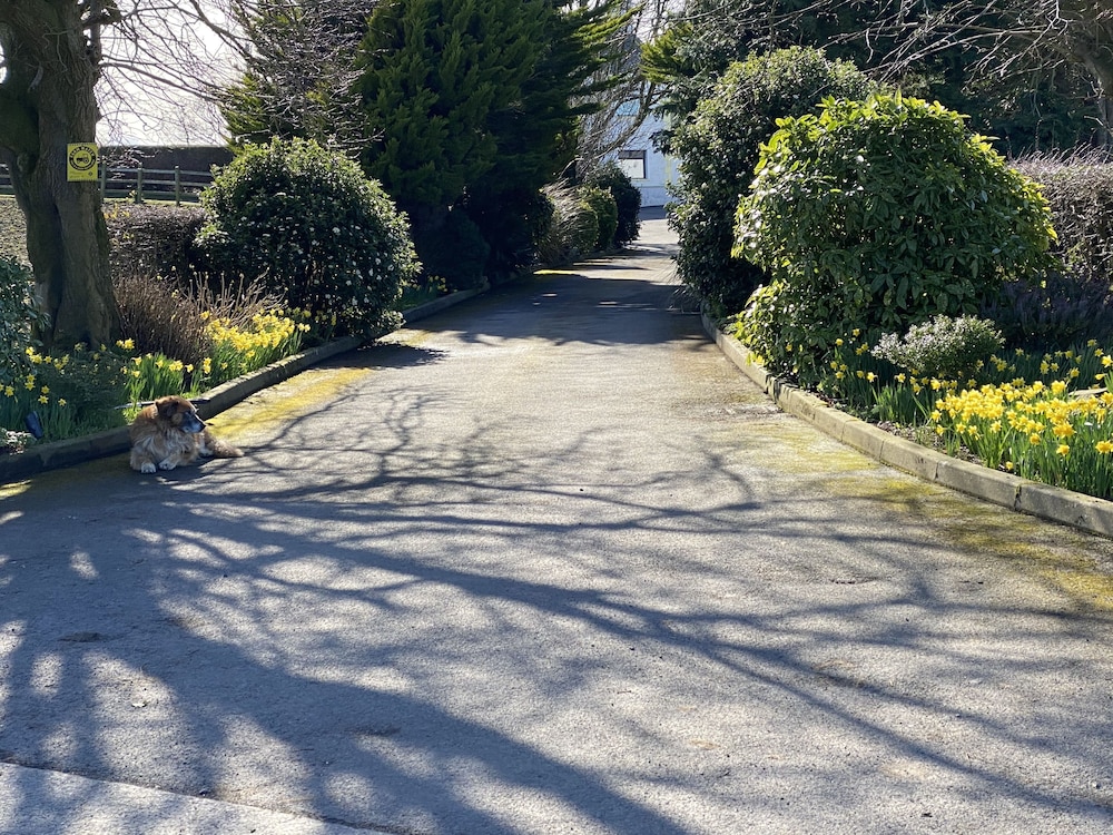 Photo 20