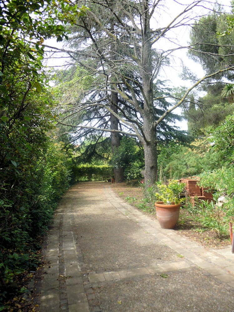 La Vagance photo 2