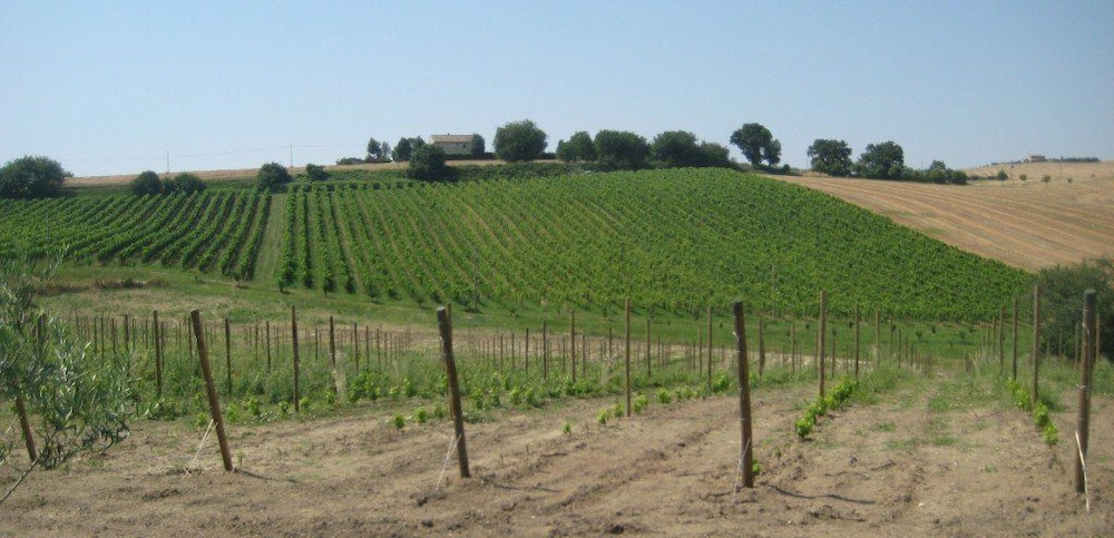 Photo 24