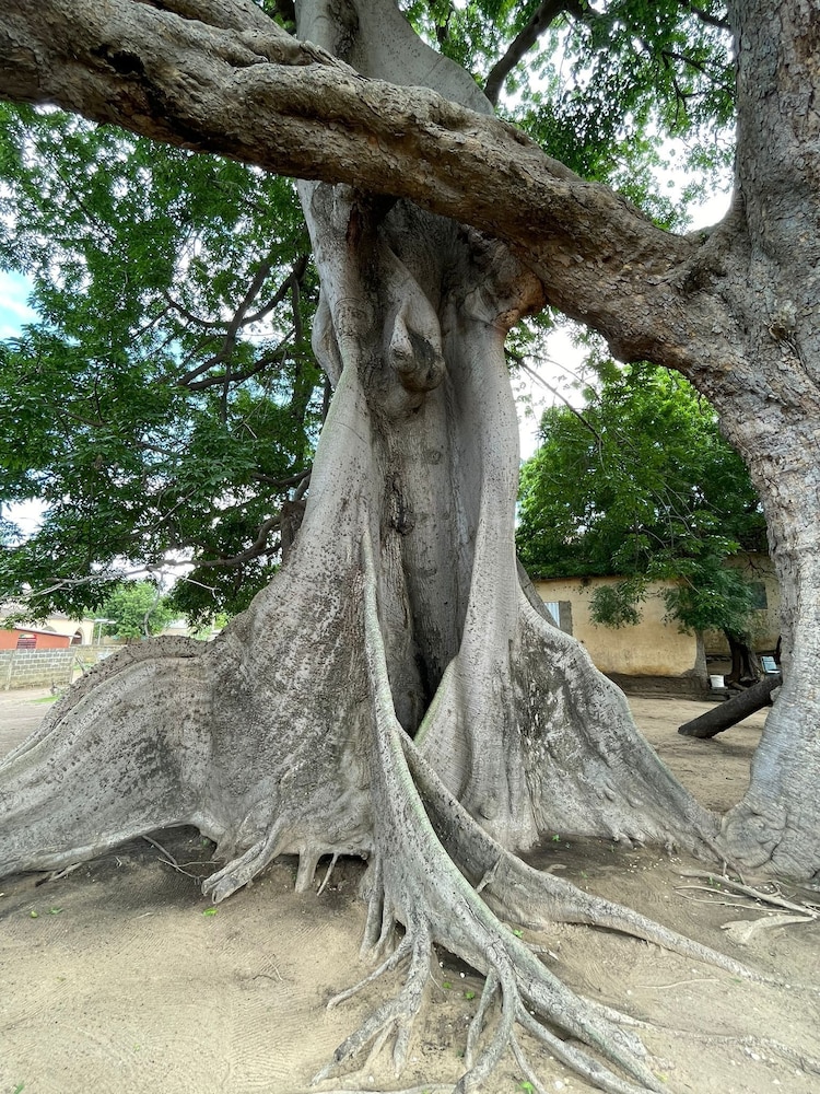 Photo 47