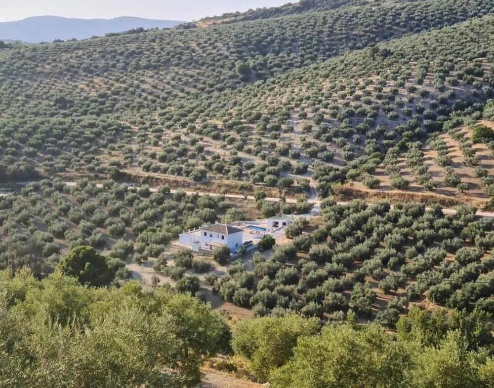 Farmhouse La Polilla photo 4