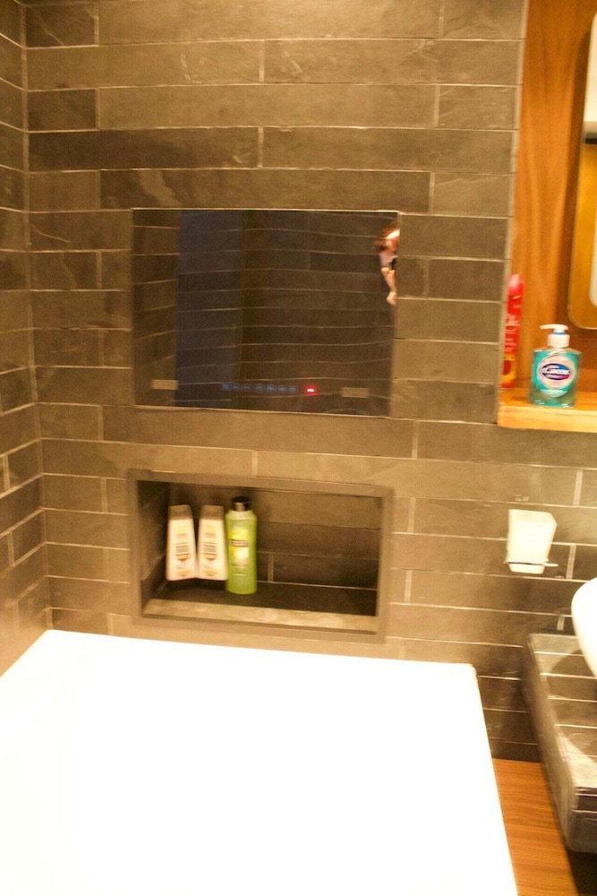 Cosy Studio Apartment in Edinburgh