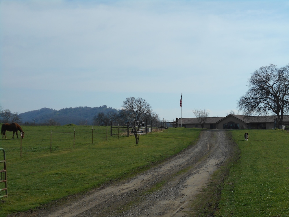 The Branded Calf B&B