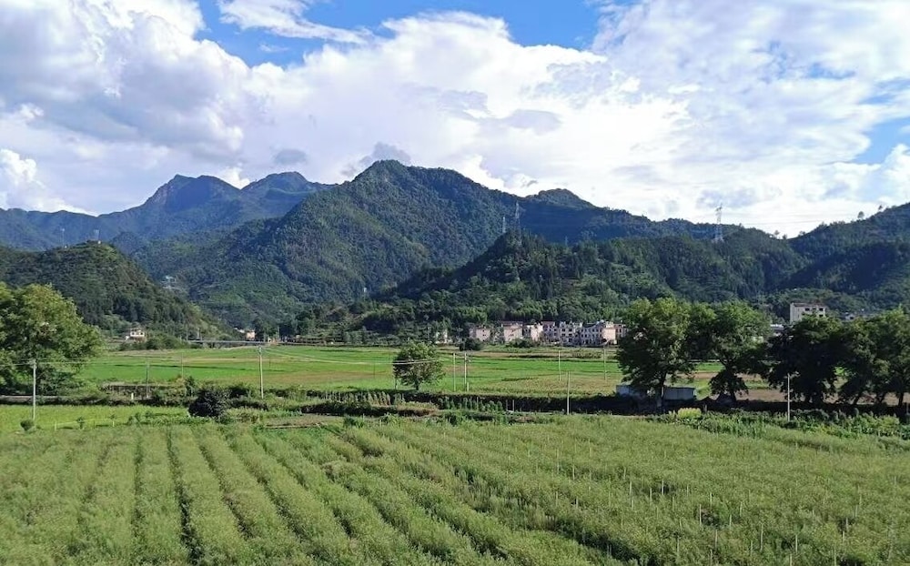 Wangxian Valley Qingchuanxingguan - Wangxian Valley Scenic Area