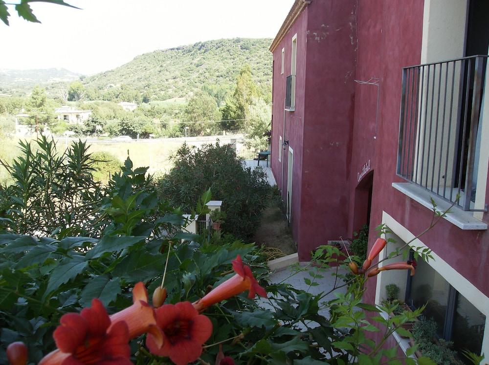 Photo 48