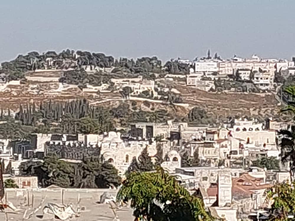 Jerusalem Center Boutique Apartment