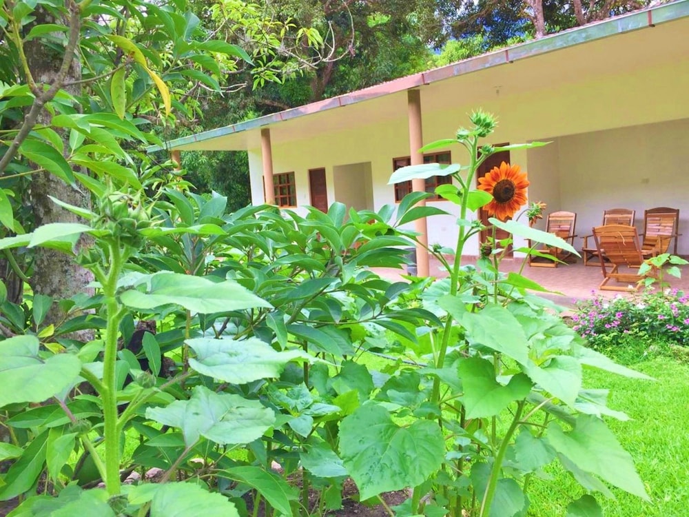 El Mangal