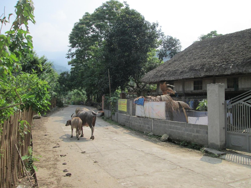 Dong Que Homestay-Tours-Motorbike, Car rental, Hiking