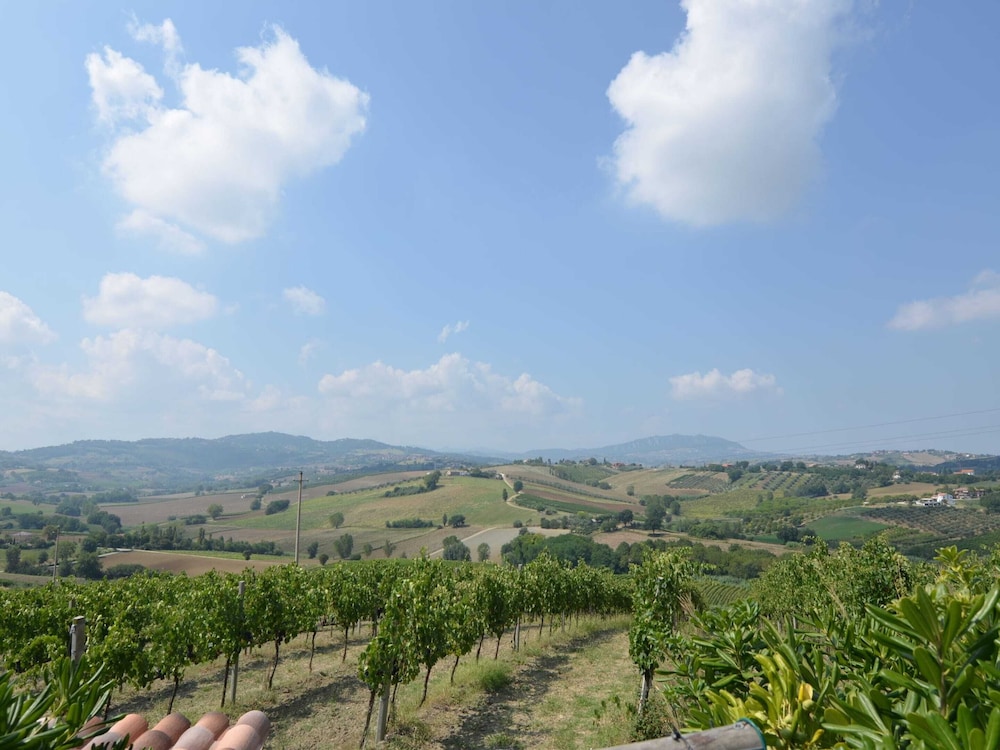 Apartment Amidst Vineyards & Blue Skies view 5